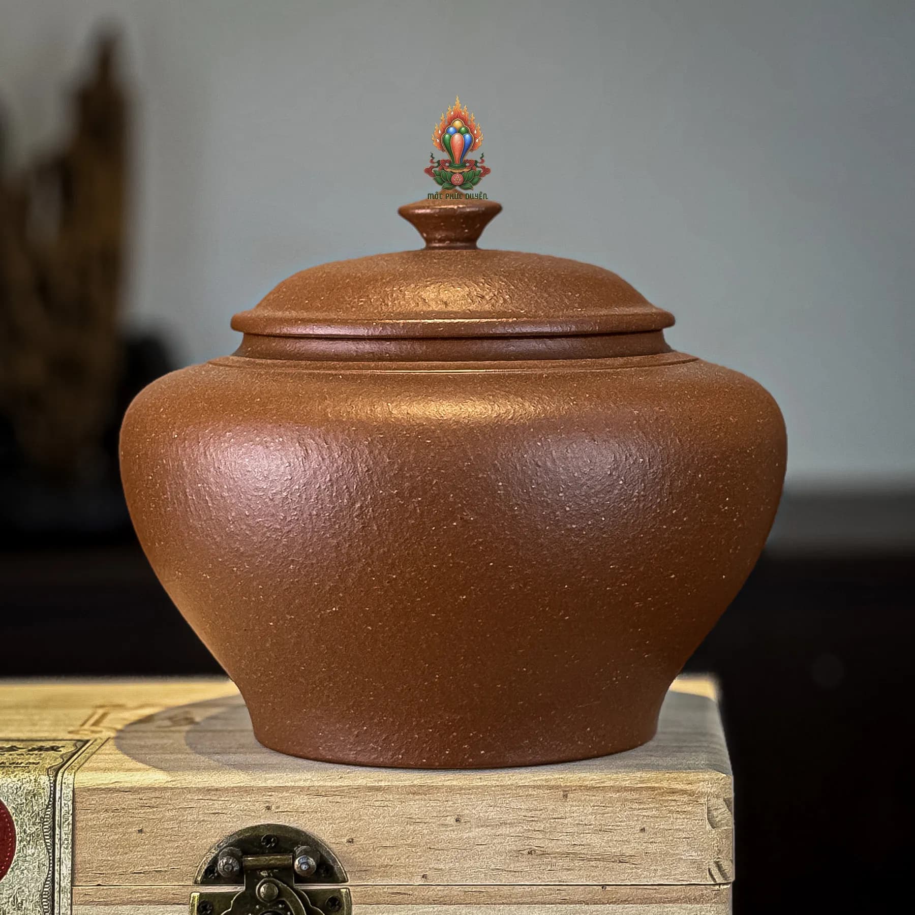 HŨ TRÀ TỬ SA ĐÁY TÀO THANH CAO CẤP ( 500 GRAM TRÀ )