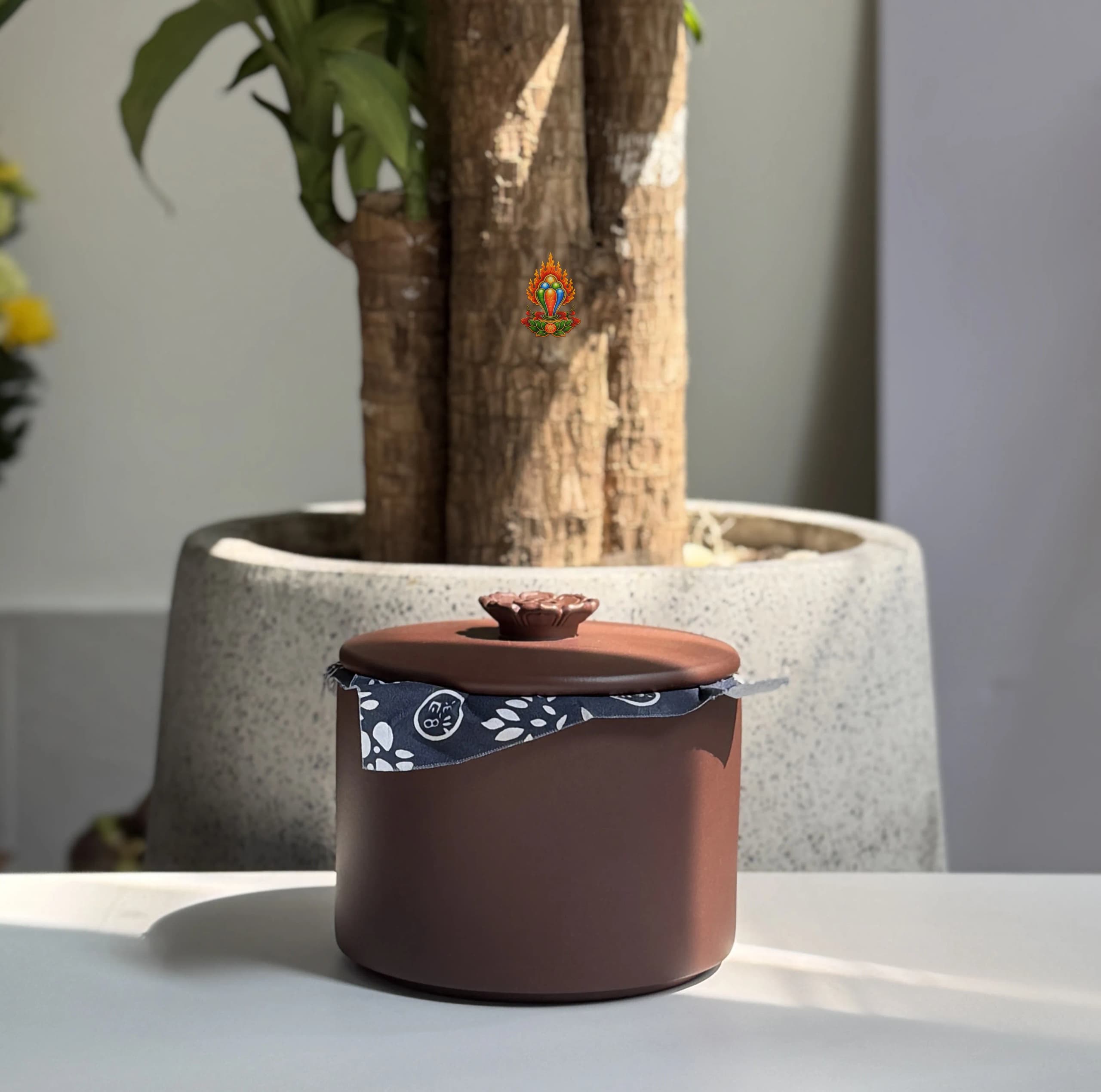 HŨ TRÀ TỬ SA NGUYÊN KHOÁNG CAO CẤP (chứa 300gram trà)